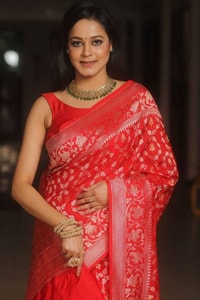 All-Over Gold and Silver Zari Jaal Banarasi Soft Silk Saree in Navy, Red, Sky Blue and Wine  in Surat