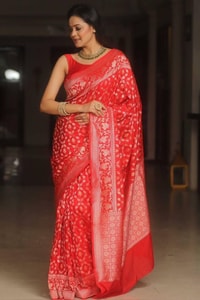 All-Over Gold and Silver Zari Jaal Banarasi Soft Silk Saree in Navy, Red, Sky Blue and Wine  in Surat
