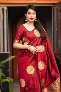Big Gold Coin Butti Banarasi Soft Silk Saree with Brocade Pallu in Six Festive Shades  in Surat