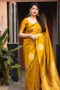Big Gold Coin Butti Banarasi Soft Silk Saree with Brocade Pallu in Six Festive Shades  in Surat
