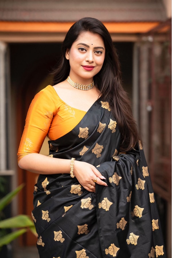 Black Banarasi Soft Silk Saree with Gold Zari Buttis and Contrast Checked Pallu and Blouse  in Surat