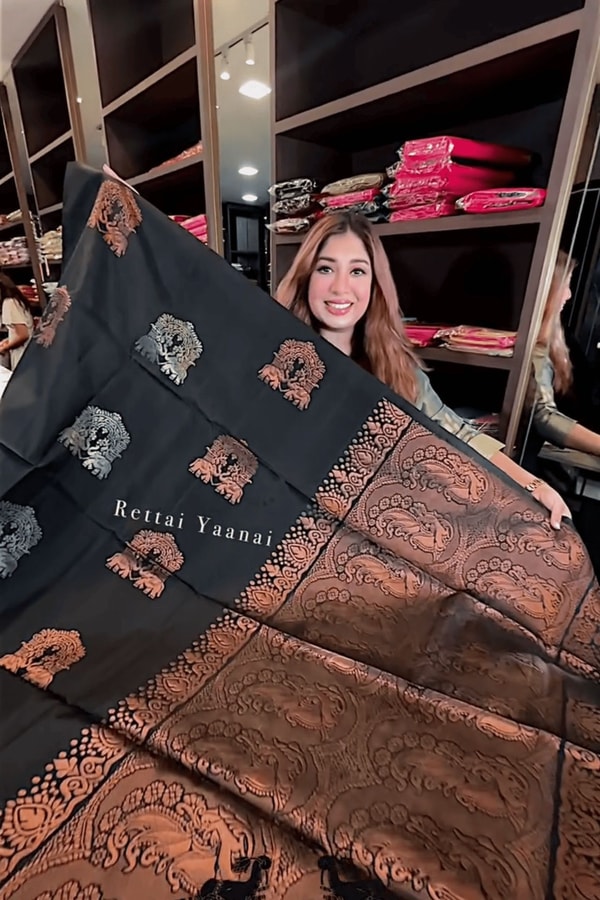Black Banarasi Soft Silk Saree with Gold Zari Jaal and Copper Elephant Motif Pallu  in Surat