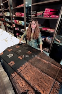 Black Banarasi Soft Silk Saree with Gold Zari Jaal and Copper Elephant Motif Pallu  in Surat