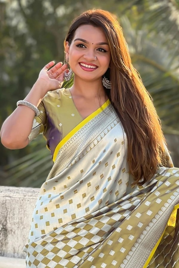 Checkerboard Silver Zari Banarasi Soft Silk Saree with Woven Pallu in Eight Bright Shades  in Surat
