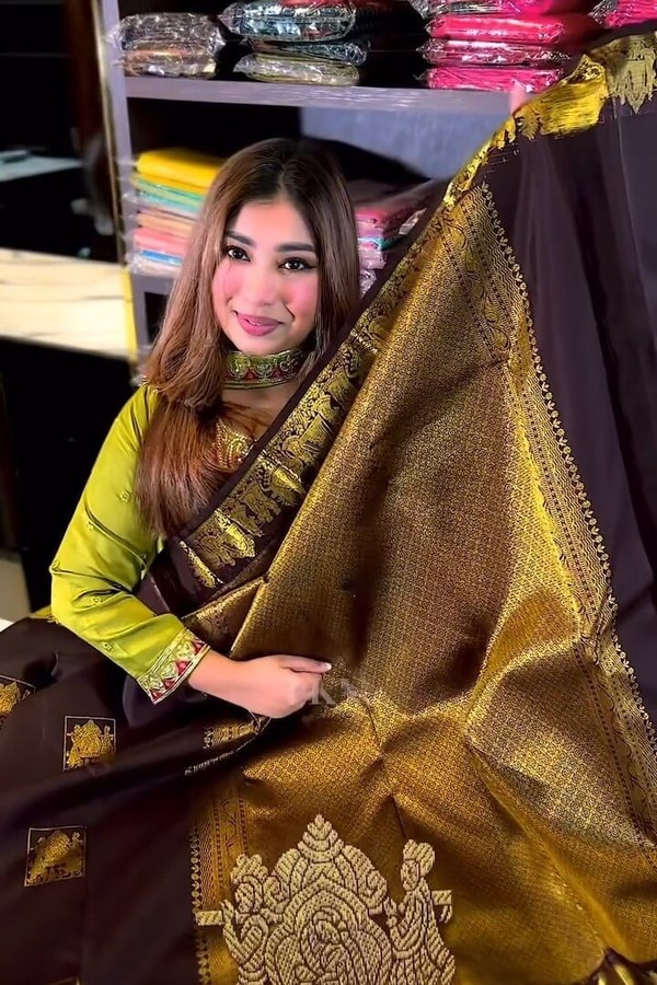 Chocolate Brown Banarasi Soft Silk Saree with Gold Square Buttas and Temple Chariot Motif Pallu  in Surat