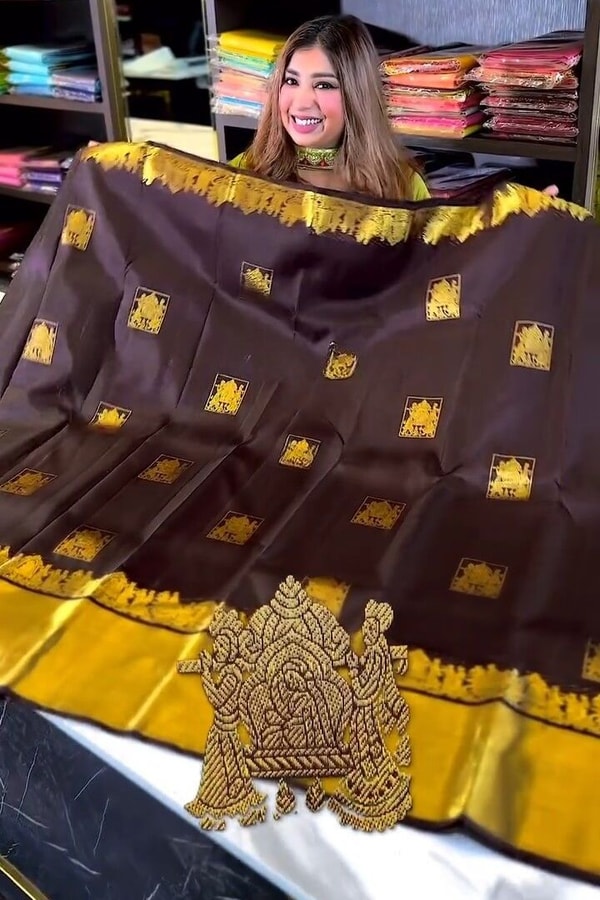 Chocolate Brown Banarasi Soft Silk Saree with Gold Square Buttas and Temple Chariot Motif Pallu  in Surat