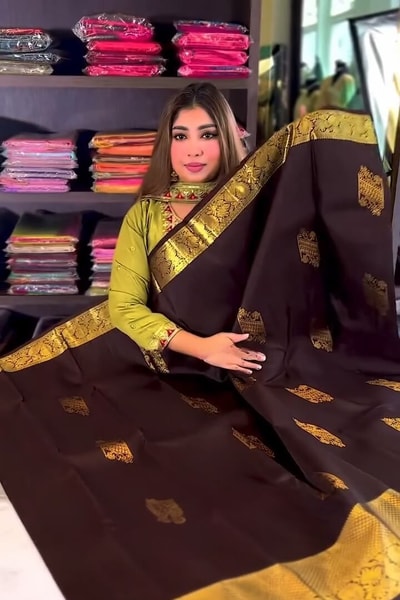 Coffee Brown Banarasi Soft Silk Saree with Gold Floral Zari Buttas and Broad Gold Pallu in Surat