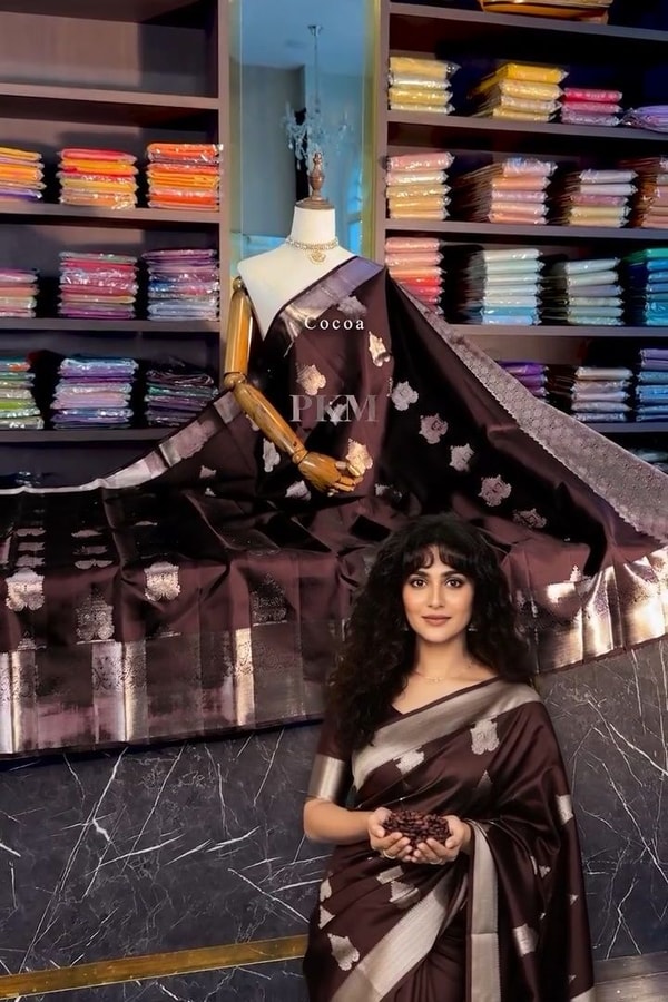 Coffee Brown Banarasi Soft Silk Saree with Silver-Tone Zari Border and Woven Pallu  in Surat