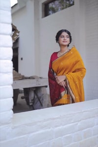 Contrast Border Banarasi Soft Silk Saree with Zari Buttis in Nine Bold Colour Pairs  in Surat video 3