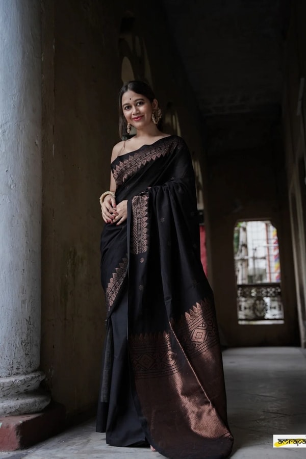 Copper Zari Border Banarasi Soft Silk Saree with Tasselled Pallu in Five Earthy Shades  in Surat