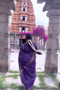 Deep Purple Saree with Scattered Gold Zari Buttis and Fine Zari Border  in Surat video 1
