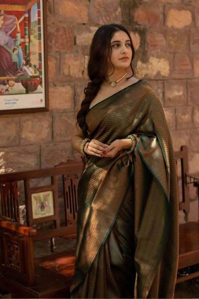 Elegant Kanjivaram Silk Sarees With Traditional Sarees Perfect for Festive Occasions in Surat