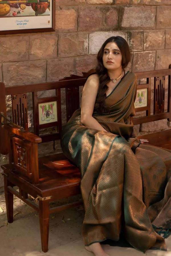 Elegant Kanjivaram Silk Sarees With Traditional Sarees Perfect for Festive Occasions  in Surat