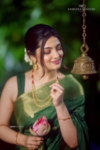 Emerald Green Banarasi Soft Silk Saree with Tiny Gold Zari Buttis and Shimmering Gold Pallu  in Surat
