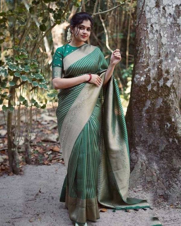 Exquisite Kanjivaram Silk Saree Elegance Embodied in Every Thread  in Surat