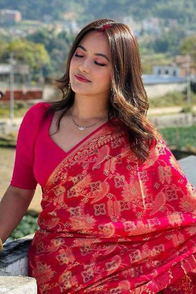 Festive Banarasi Saree with Rich Pallu and Intricate Golden Border in Surat