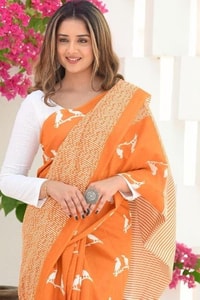 Flying Bird Motif Saree with Striped Pallu in Maroon, Orange and Charcoal Grey  in Surat