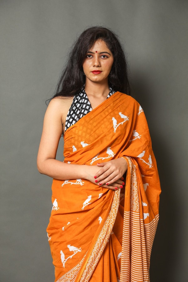 Flying Bird Motif Saree with Striped Pallu in Maroon, Orange and Charcoal Grey  in Surat