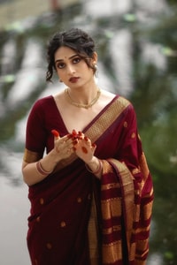 Gold Zari Butti Banarasi Soft Silk Saree with Striped Zari Pallu in Five Deep Shades  in Surat