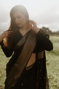 Gold Zari Butti Banarasi Soft Silk Saree with Striped Zari Pallu in Five Deep Shades  in Surat