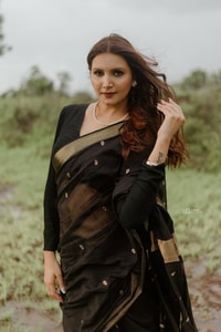 Gold Zari Butti Banarasi Soft Silk Saree with Striped Zari Pallu in Five Deep Shades  in Surat