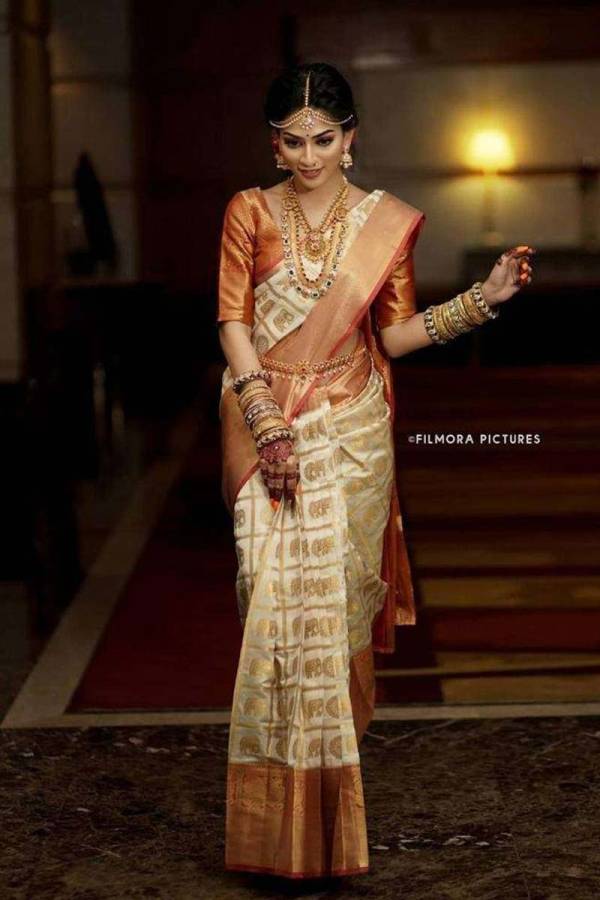 Golden Rich Pallu with Allover Box Design Saree  in Surat