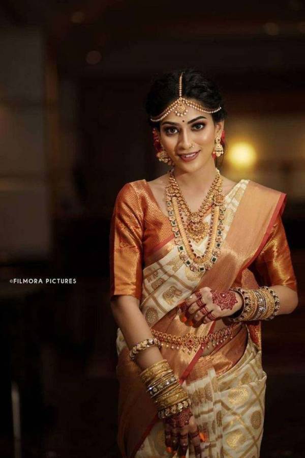 Golden Rich Pallu with Allover Box Design Saree  in Surat