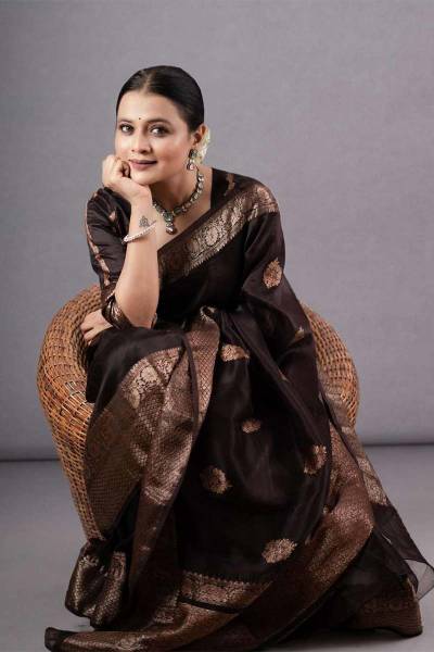 Golden Zari Work and Intricate Detailing The Banarasi Silk Saree in Surat