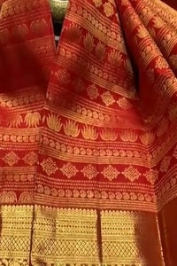 Horizontal Zari Band Banarasi Soft Silk Saree with Lotus and Mango Motifs in Red and Wine  in Surat video 1