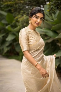 Ivory Tissue-Look Banarasi Soft Silk Saree with All-Over Fine Gold Zari Pinstripes  in Surat