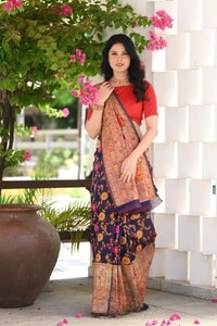 Kashmiri Weaving Banarasi Soft Silk Saree with Heavy Zari Pallu in Deep Shades  in Surat