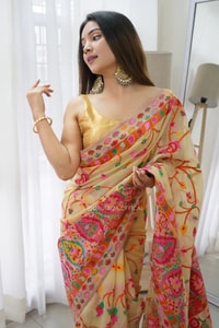 Kashmiri Weaving Banarasi Soft Silk Saree with Multi-Colour Thread and Pure Zari Work  in Surat