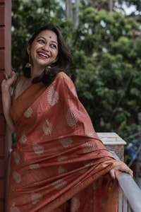 Large Zari Coin Butta Saree with Woven Zari Border in Six Rich Shades from Rust to Mustard  in Surat