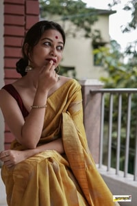 Large Zari Coin Butta Saree with Woven Zari Border in Six Rich Shades from Rust to Mustard  in Surat