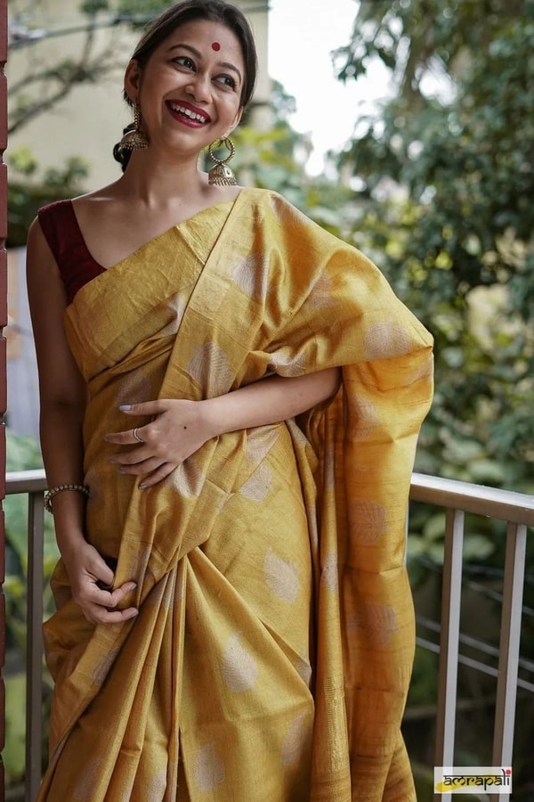Large Zari Coin Butta Saree with Woven Zari Border in Six Rich Shades from Rust to Mustard  in Surat