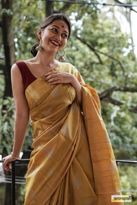 Large Zari Coin Butta Saree with Woven Zari Border in Six Rich Shades from Rust to Mustard  in Surat