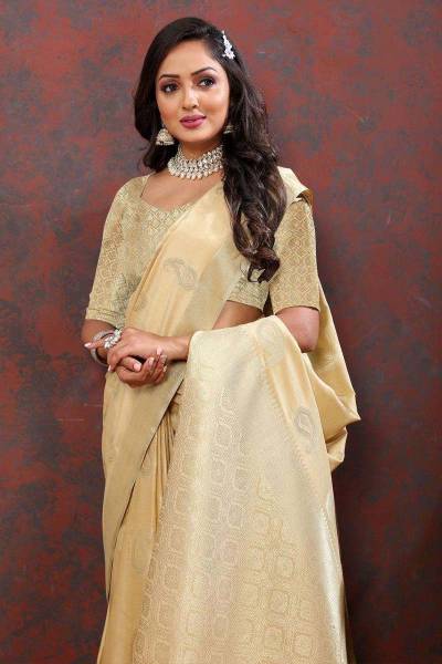 Luxurious Cotton Silk Saree Rich Pallu and Zari Border Design Saree Manufacturers in Mumbai