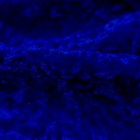 Majestic Royal Blue Crush Velvet Fabric 6.65 Meter  in Surat