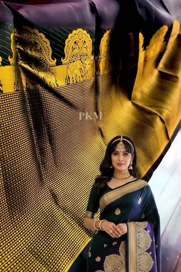 Midnight Navy Banarasi Soft Silk Saree with Gold Paisley Buttas and Striped Zari Pallu  in Surat