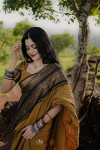 Mustard Gold Banarasi Saree with Black Striped Border and Woven Zari Pallu  in Surat