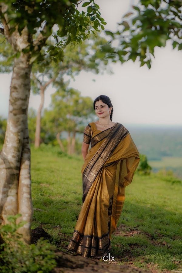 Mustard Gold Banarasi Saree with Black Striped Border and Woven Zari Pallu  in Surat