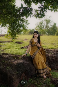 Mustard Gold Banarasi Saree with Black Striped Border and Woven Zari Pallu  in Surat