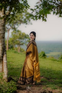 Mustard Gold Banarasi Saree with Black Striped Border and Woven Zari Pallu  in Surat