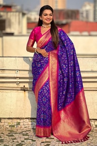 Patola Weave Banarasi Soft Silk Saree in Seven Contrast Colour Combinations with Zari Border  in Surat