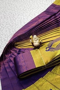 Peacock Pallu Banarasi Soft Silk Saree with Peacock Feather Buttas in Eleven Colourways  in Surat