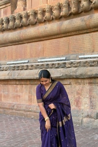 Plain Body Saree with Wide Gold Zari Border and Pallu in Purple, Black, Green and Red  in Surat
