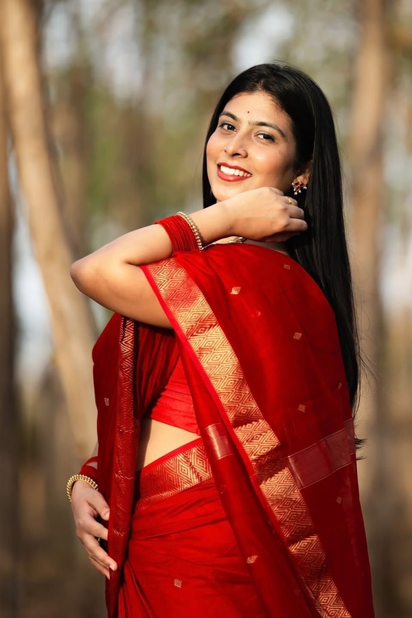 Plain Body Saree with Wide Gold Zari Border and Pallu in Purple, Black, Green and Red  in Surat