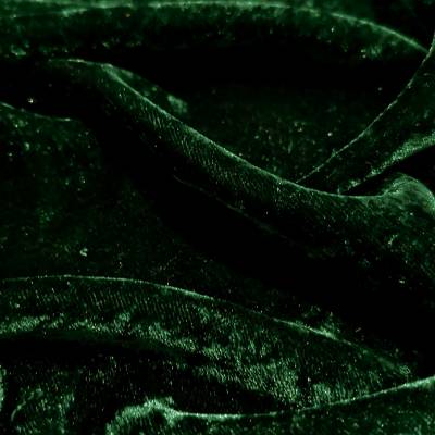 Premium Dark Green Plain Viscose Velvet Fabric 6.25 Meter in Surat