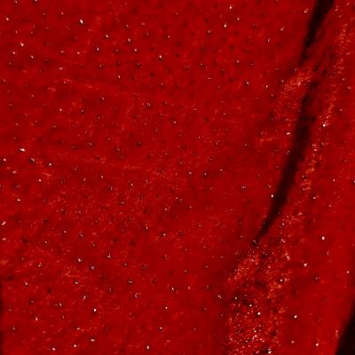 Red Sparkle Velvet Fabric 6.05 Meter Manufacturers in Guntakal