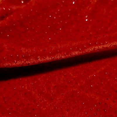 Red Sparkle Velvet Fabric 7.65 Meter Manufacturers in Dharwad